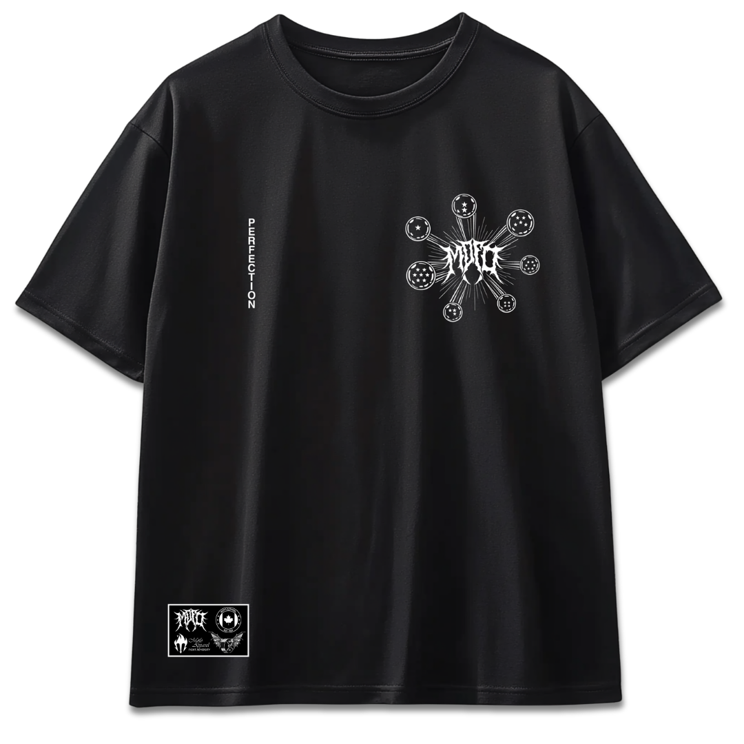 "Perfection" Premium Oversized tee